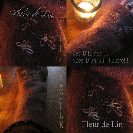 collage4