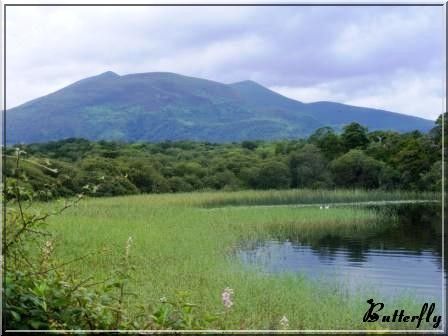 Killarney_montagne_lacs_et_v_g_tation