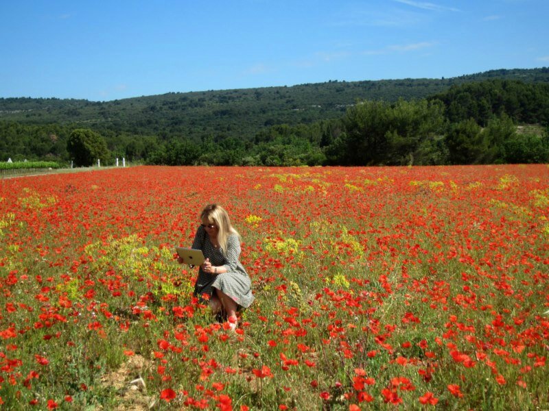 Provence 2016 055 [800x600]