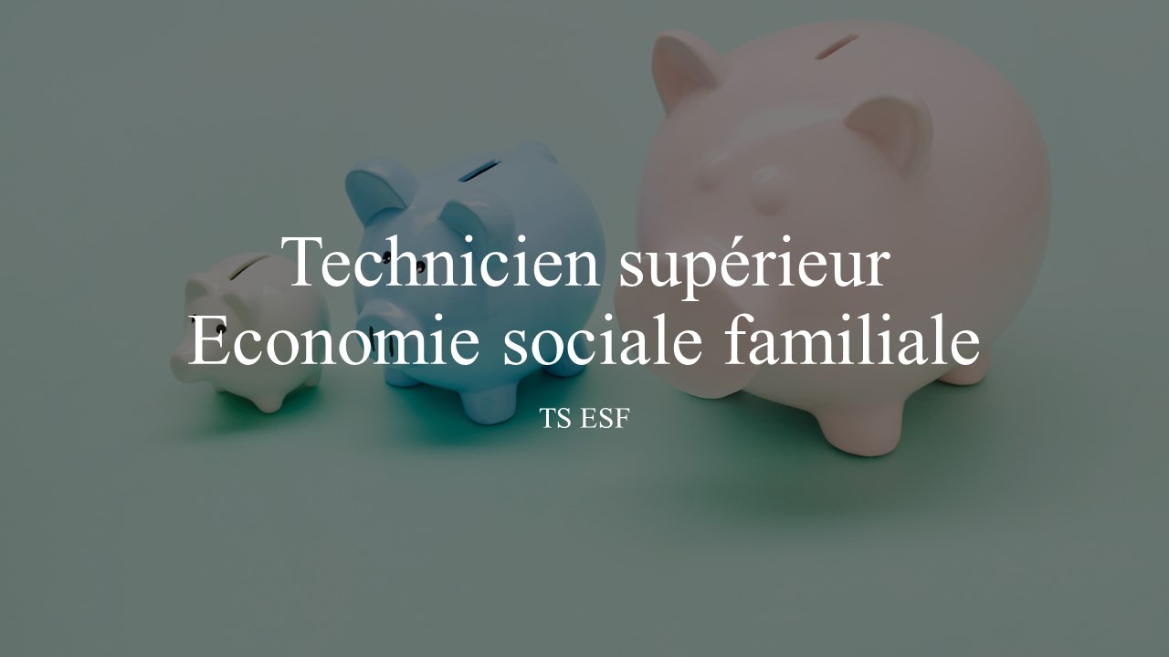 TS ESF 971 - Technicien superieur Economie sociale familiale en Guadeloupe