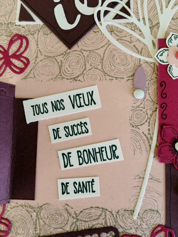 Lucette A (4)