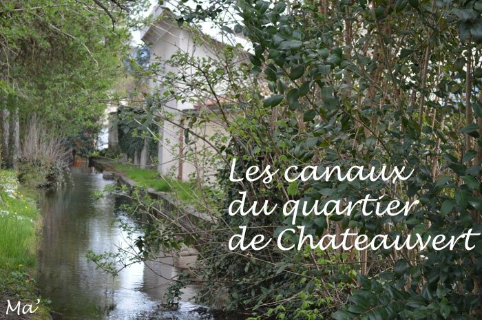 150329_canaux_chateauvert0