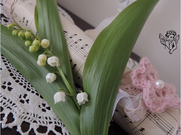 muguet 3