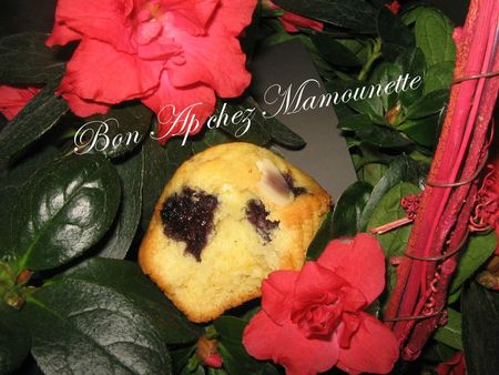Petits gâteaux à la mûre sauvage 019