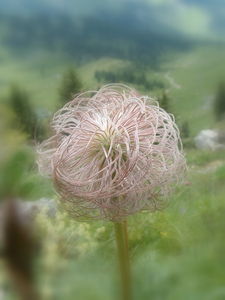 DSCF0148