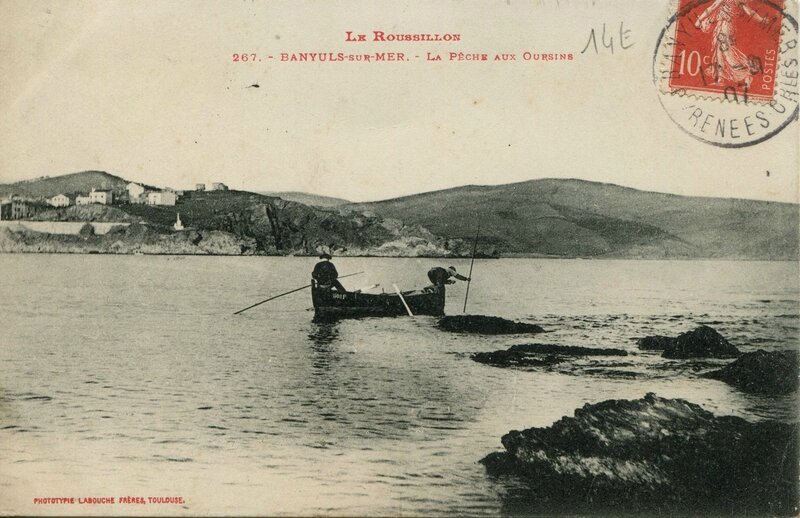 308 La Pêche aux Oursins 1907