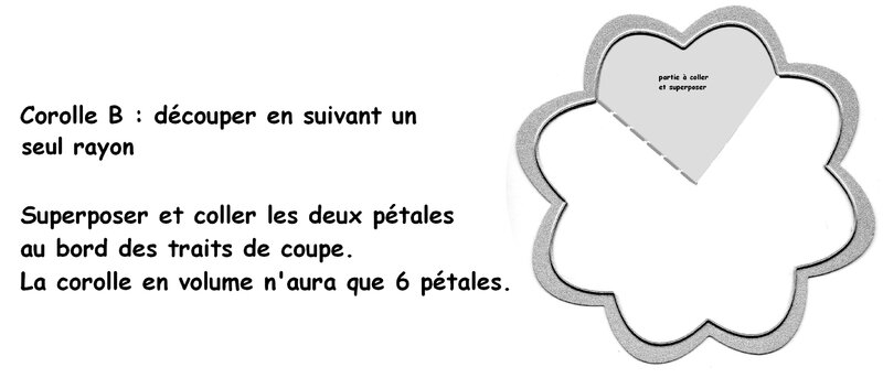 138_Fleurs_Fleurs en volume (petite corolle)