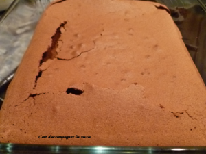 Gâteau moëlleux au chocolat (d'Anita)3