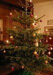 250px_christmas_tree