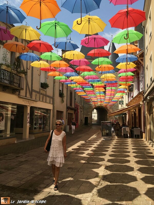 Parapluies