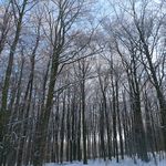 Ma_maison_divers21