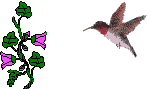 le colibrille