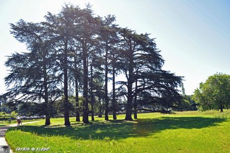 Parc-de-Goualoup