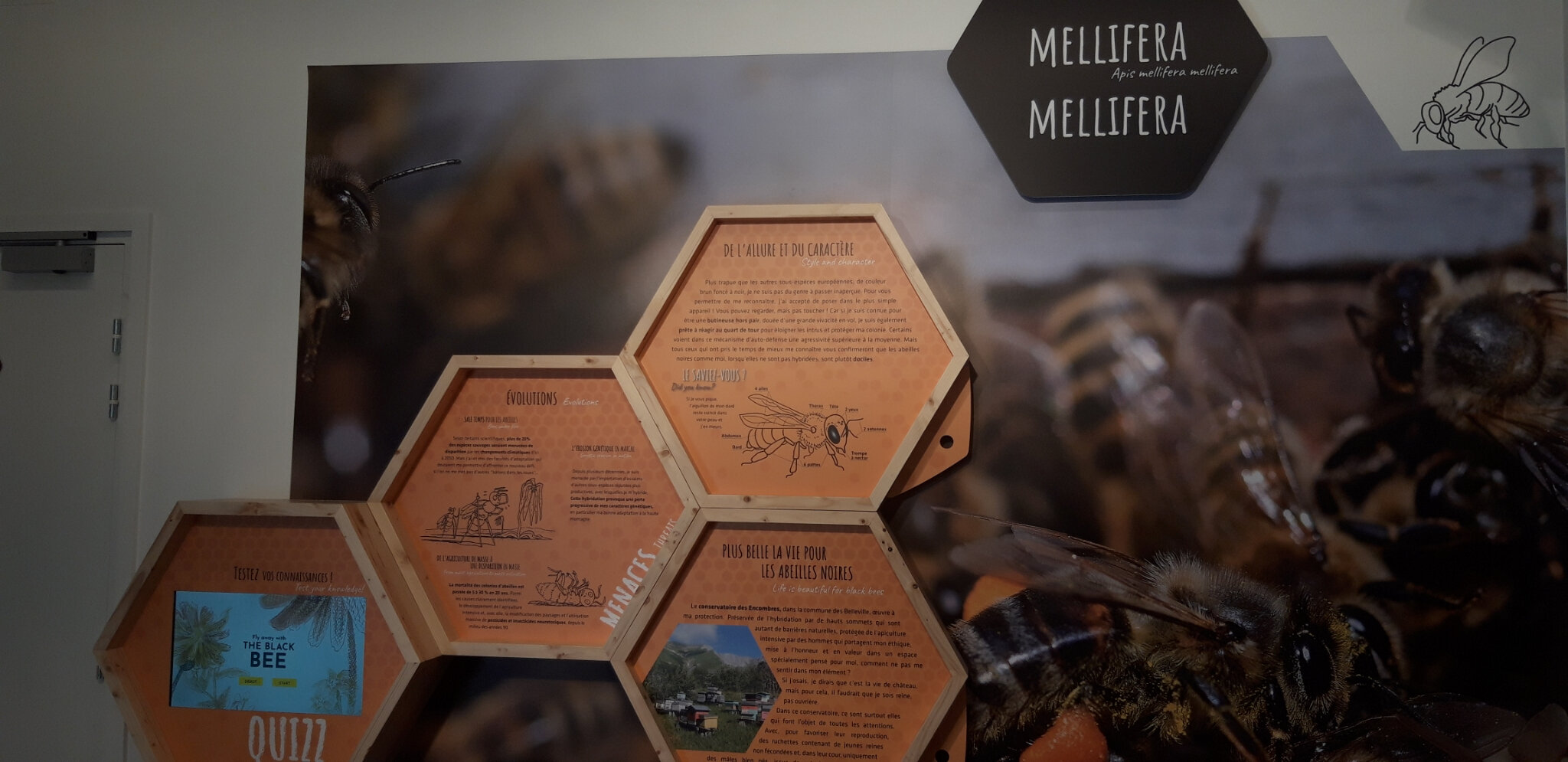02d La maison de l'abeille 5/5