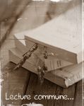 dt029_livres_et_bois