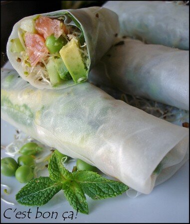 Du printemps en rouleaux! recettes entrees Du printemps en rouleaux!