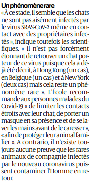 2020 05 03 SO Un chat testé positif au coronavirus2