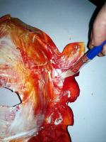 122_Masques_Diable (30)
