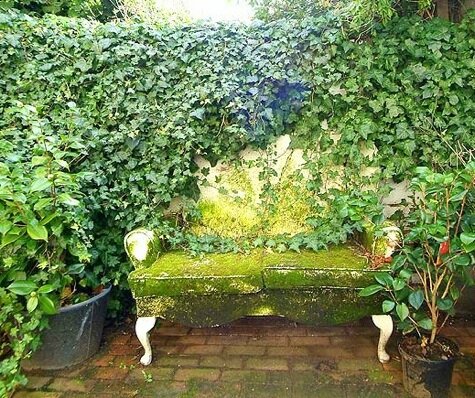 ivy-bench-london-garden