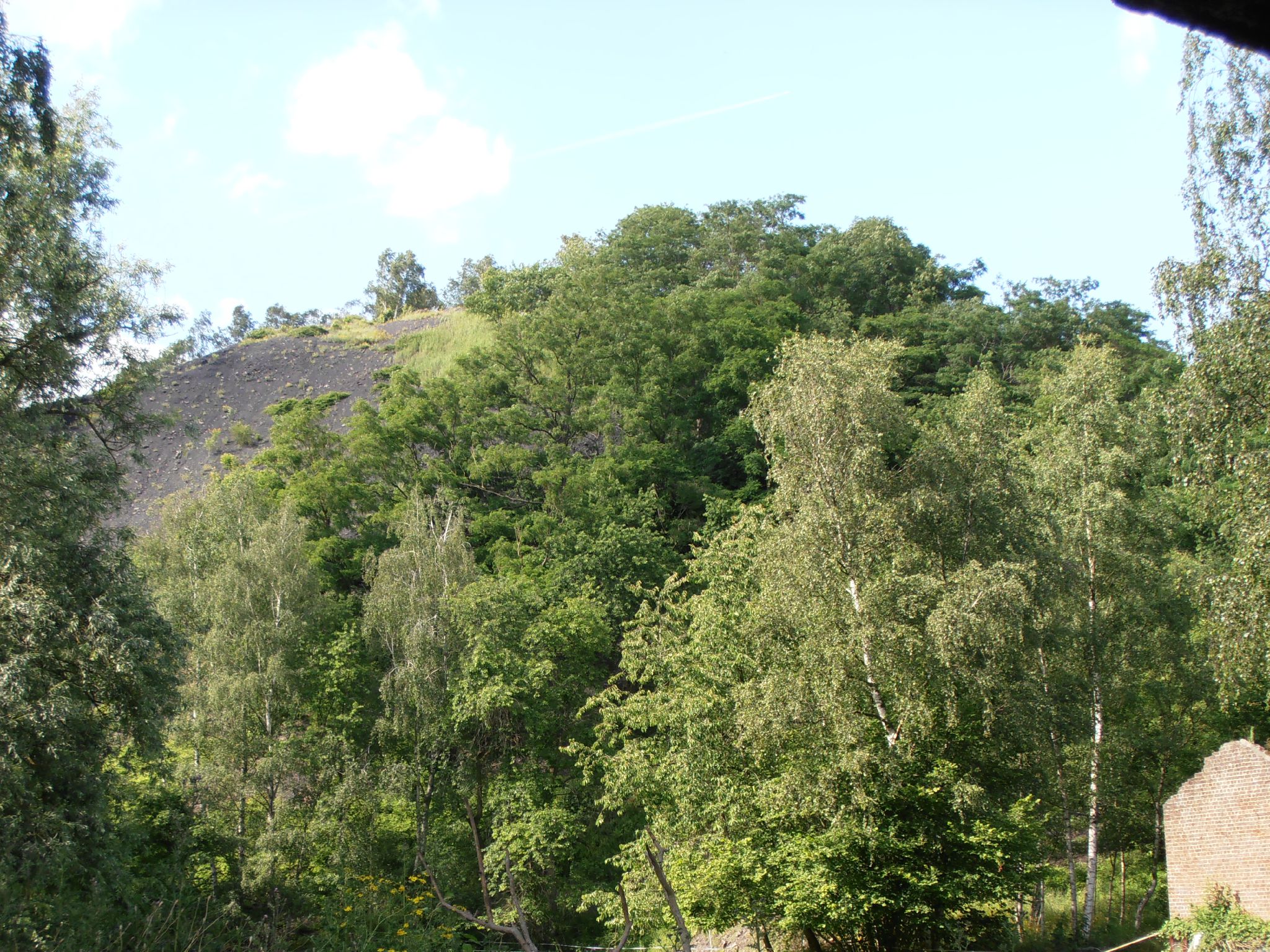 Marcasse - Terril 20120702_37