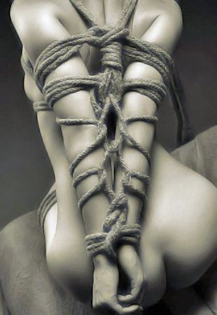 shibari