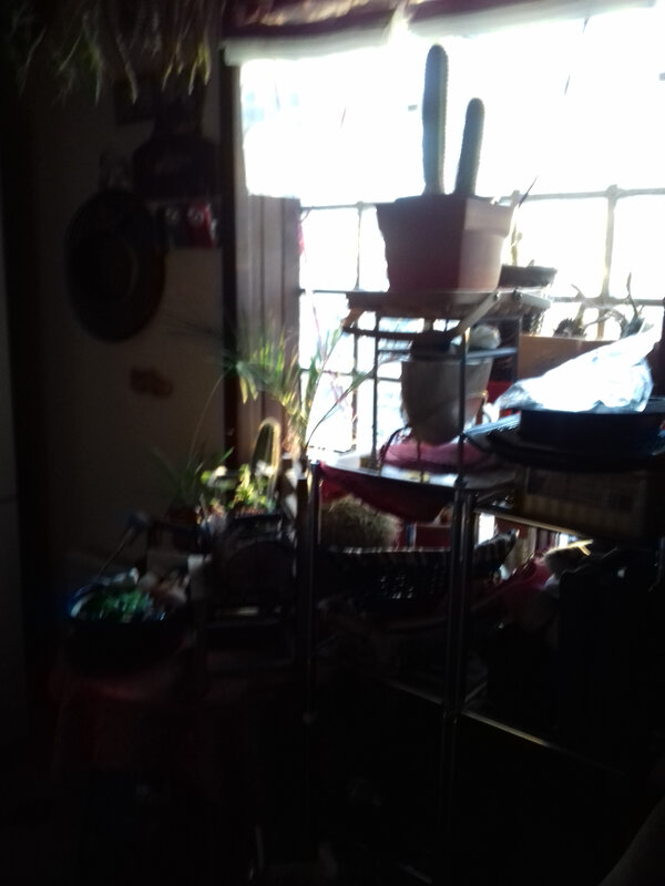 20190216_081315