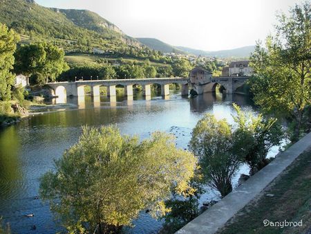 le tarn à Millau