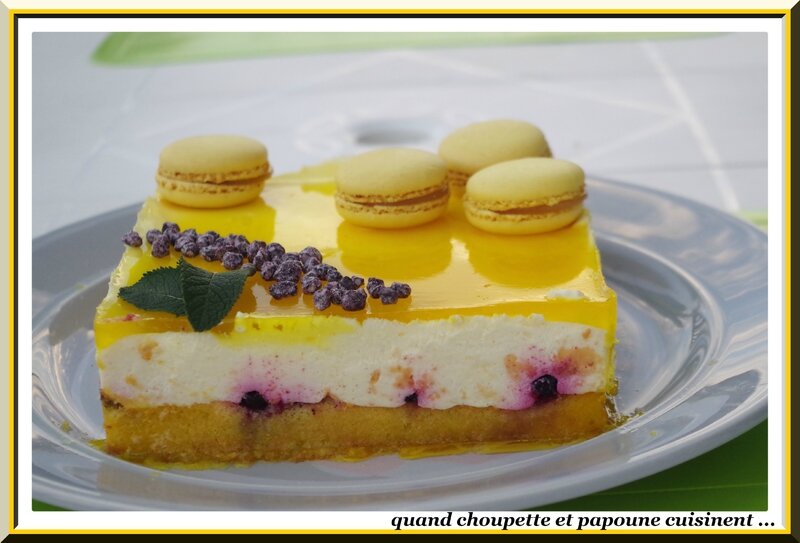 Gâteau à la mousse de citron et aux myrtilles-5169