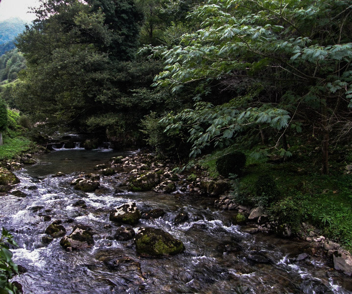 21082008-45274466