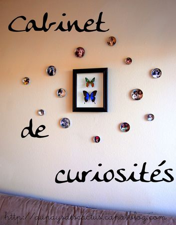 Cabinet_de_curiosit_s