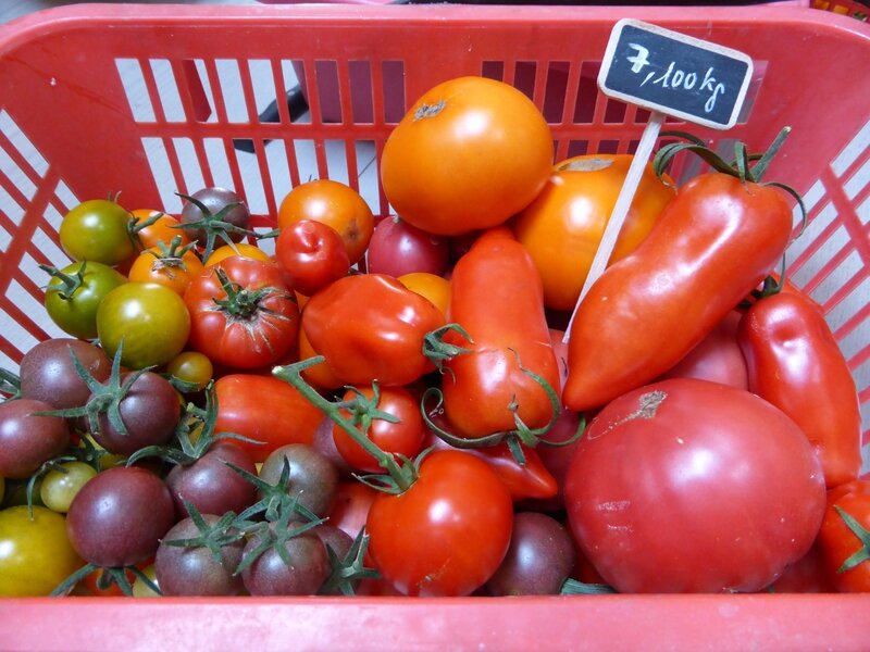 2-tomates du jour