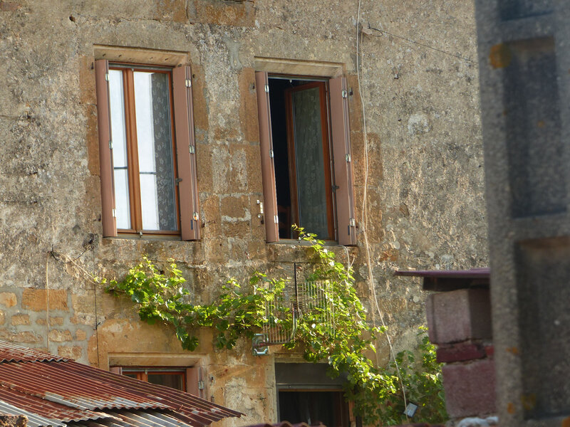 P1550431