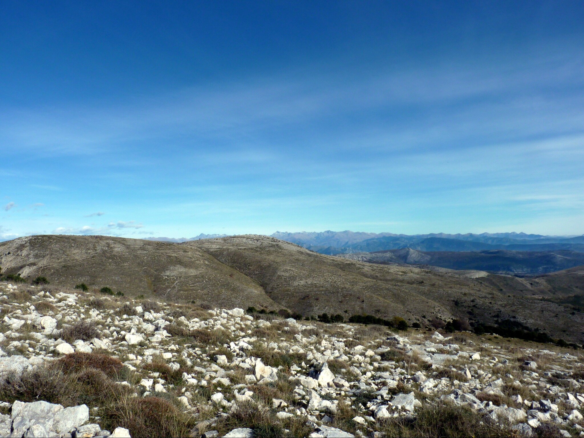 P1080386 - Copie