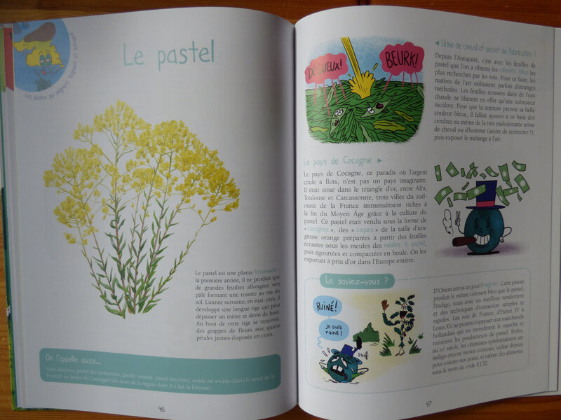 Les plantes qui tatouent (2)