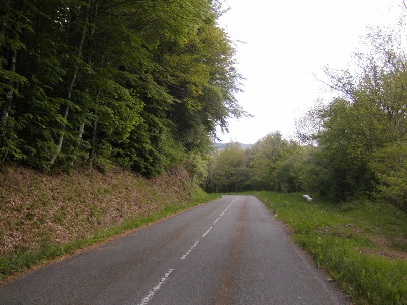 BILD0059