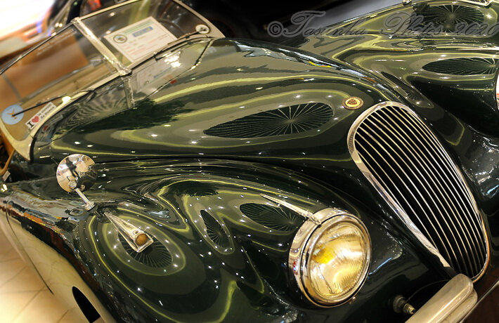 JaguarXK120_copyrightTasunka2018_ (1)