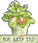 week_plante