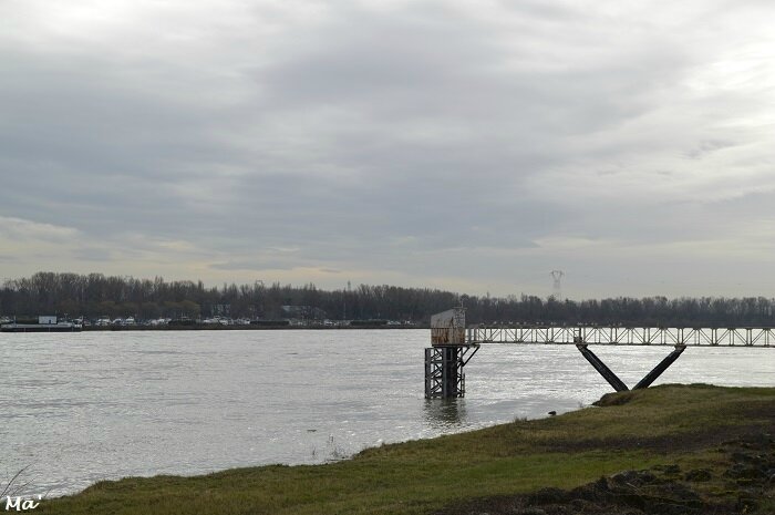 180102_berges_rhone_4