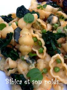 Gnocchi_aux___verts___fa_on_risotto_gros_plan