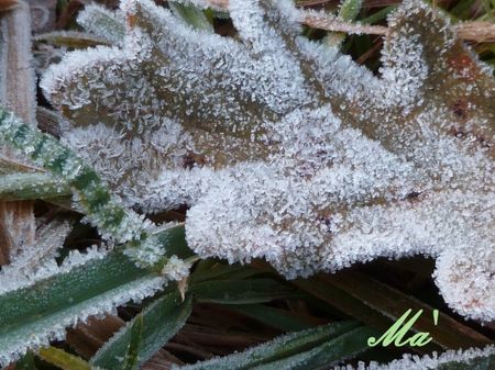 givre_101225
