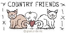 COUNTRYCAT