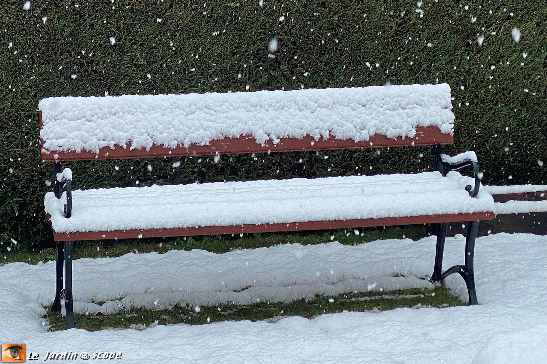 Banc sous la neige