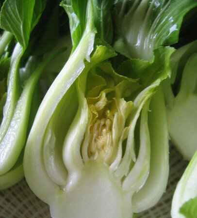 pak_choi_1