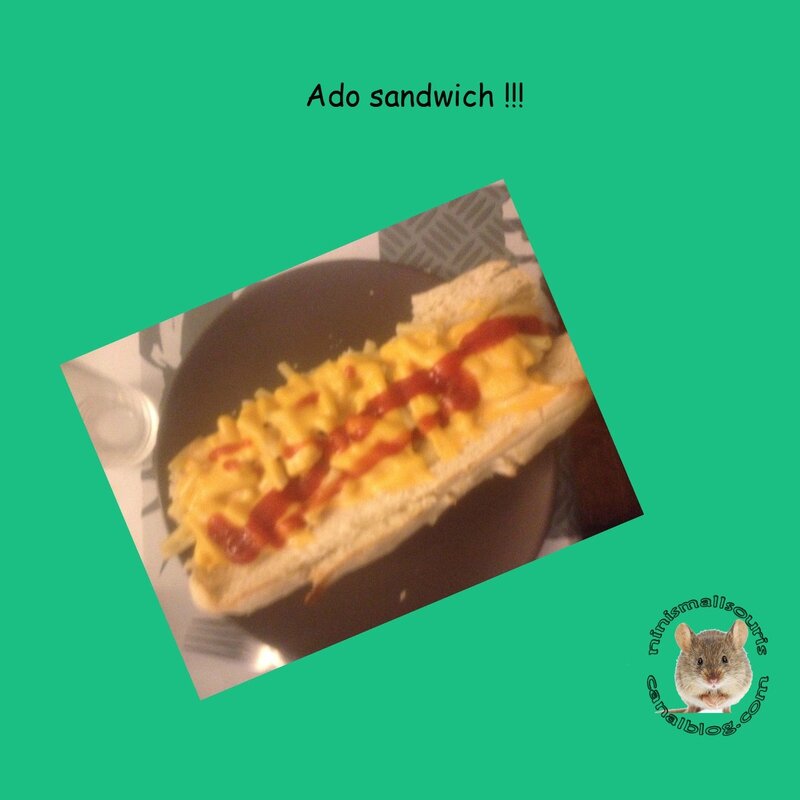 sandwich ado