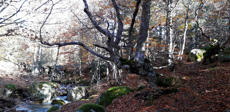 20191025_105707