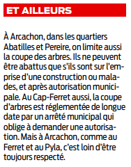 au secours des pins2