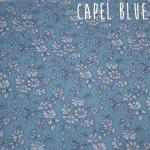 capel blue