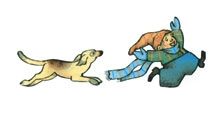 boy dog