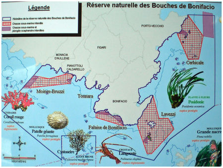 Carte de la réserve naturelle des Bouches de Bonifacio