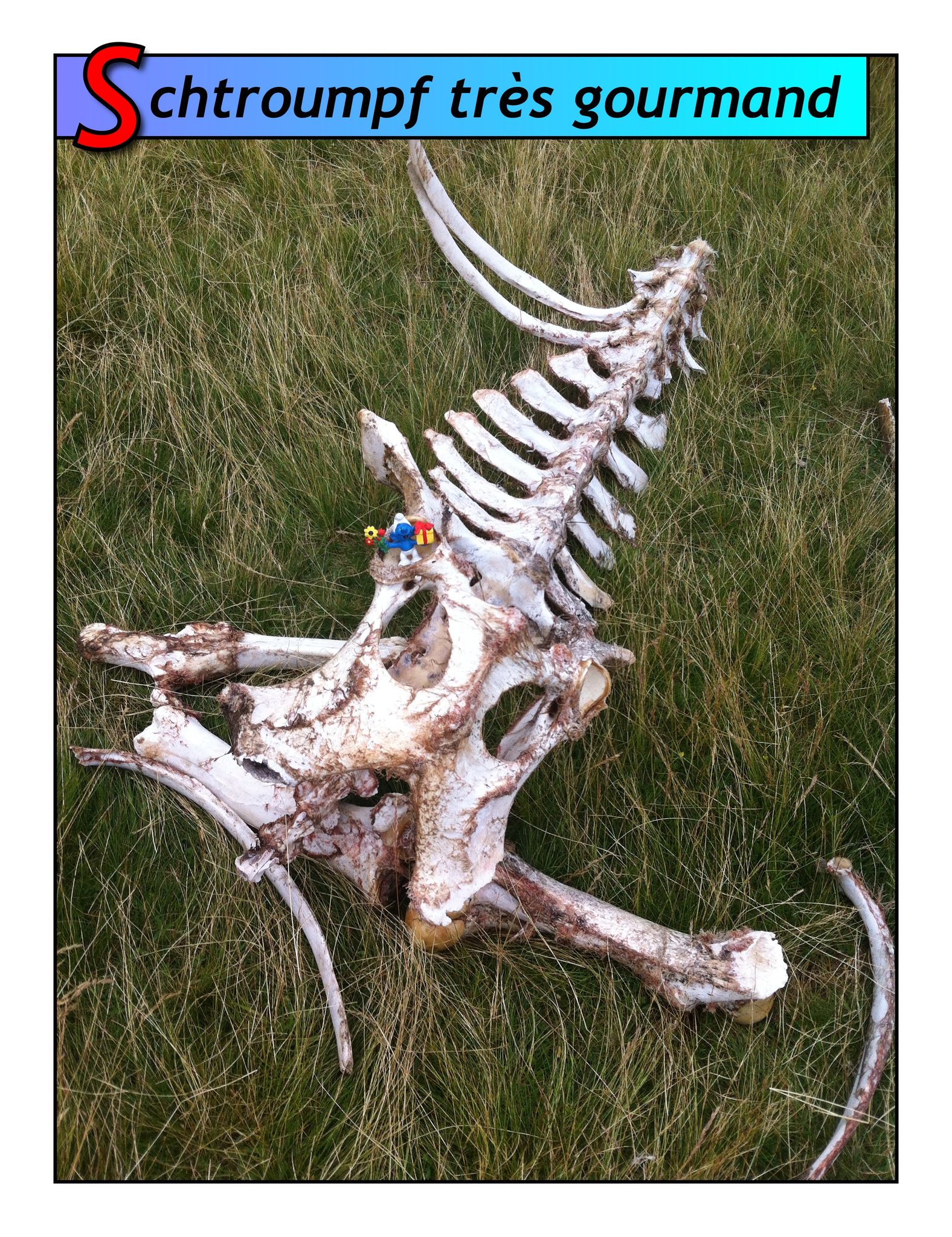 Schtroumpf au lac d'Ansabère (64)